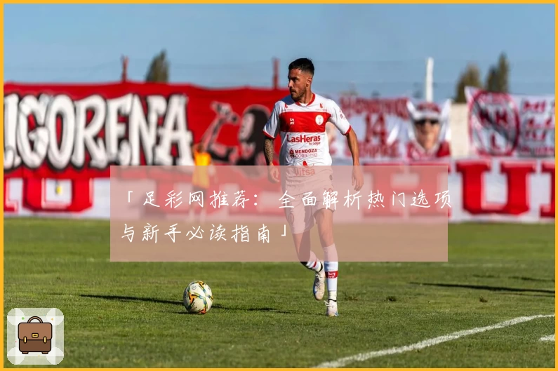 「足彩网推荐：全面解析热门选项与新手必读指南」