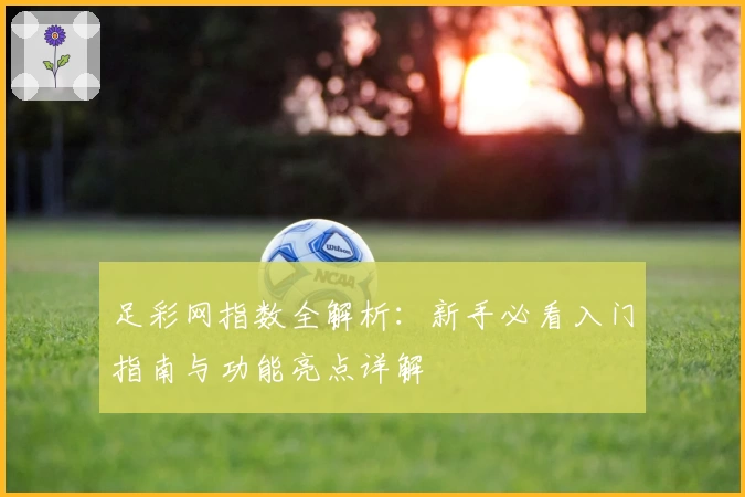 足彩网指数全解析：新手必看入门指南与功能亮点详解