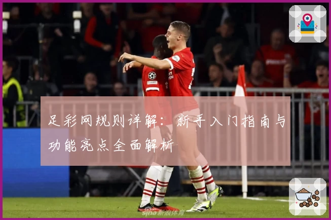 足彩网规则详解：新手入门指南与功能亮点全面解析