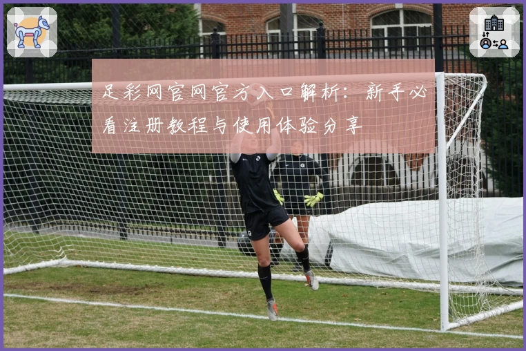 足彩网官网官方入口解析：新手必看注册教程与使用体验分享