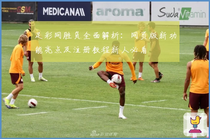 足彩网胜负全面解析：网页版新功能亮点及注册教程新人必看