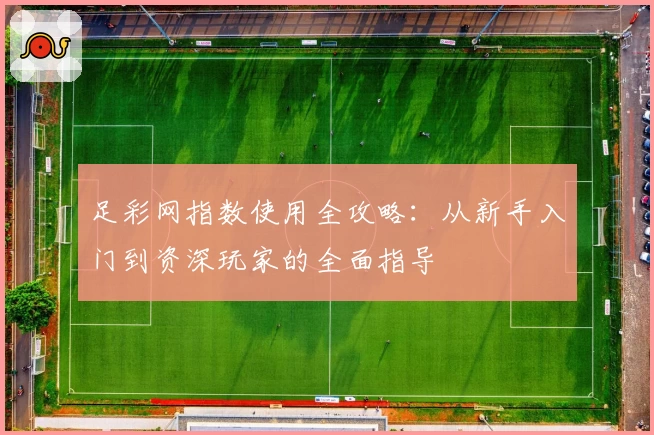 足彩网指数使用全攻略：从新手入门到资深玩家的全面指导
